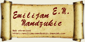 Emilijan Mandžukić vizit kartica